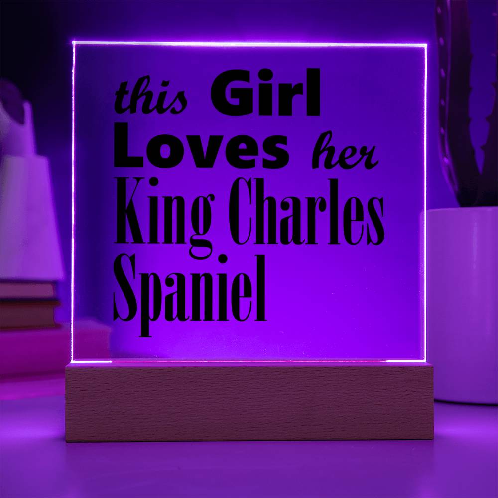 King Charles Spaniel - Square Acrylic Plaque With LED Base