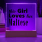 Maltese - Square Acrylic Plaque With LED Base