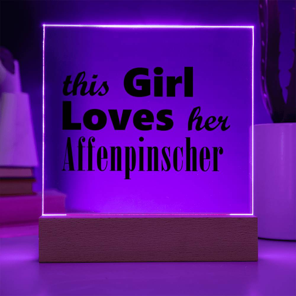 Affenpinscher - Square Acrylic Plaque With LED Base