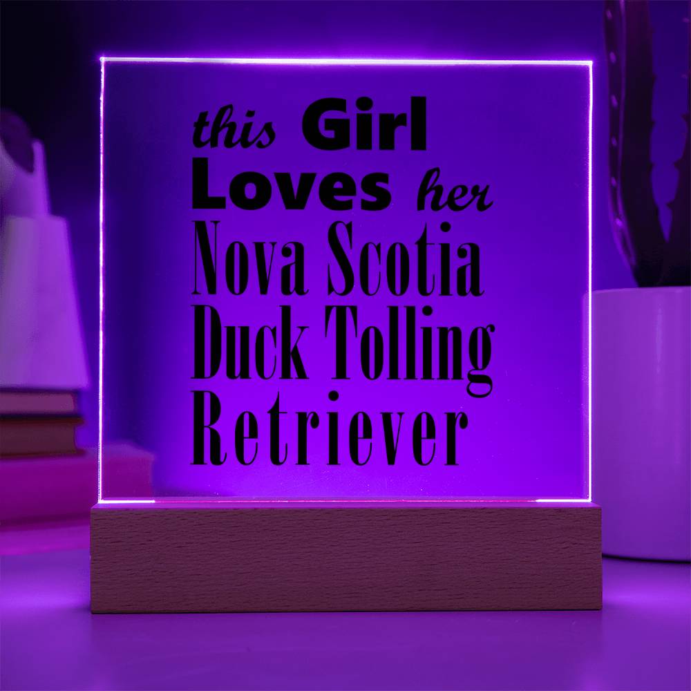 Nova Scotia Duck Tolling Retriever - Square Acrylic Plaque With LED Base