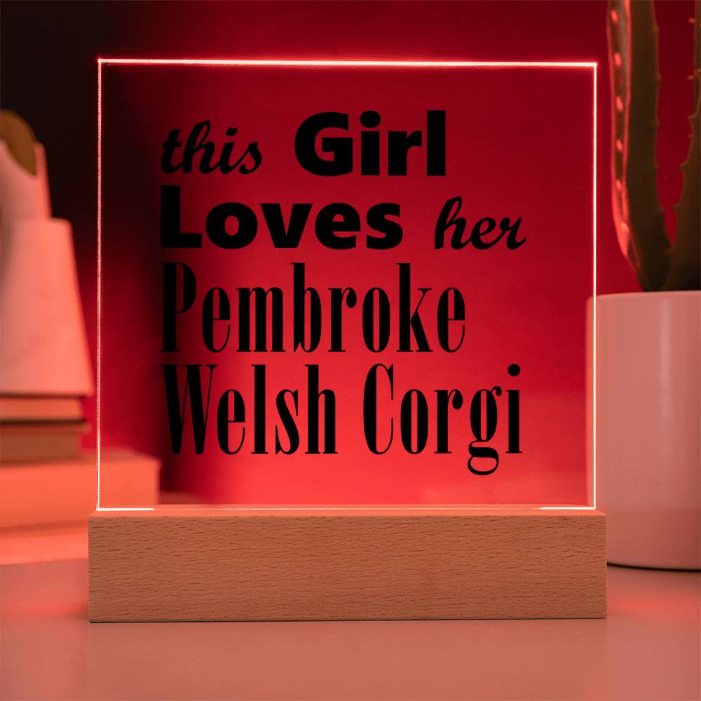 Pembroke Welsh Corgi - Square Acrylic Plaque With LED Base