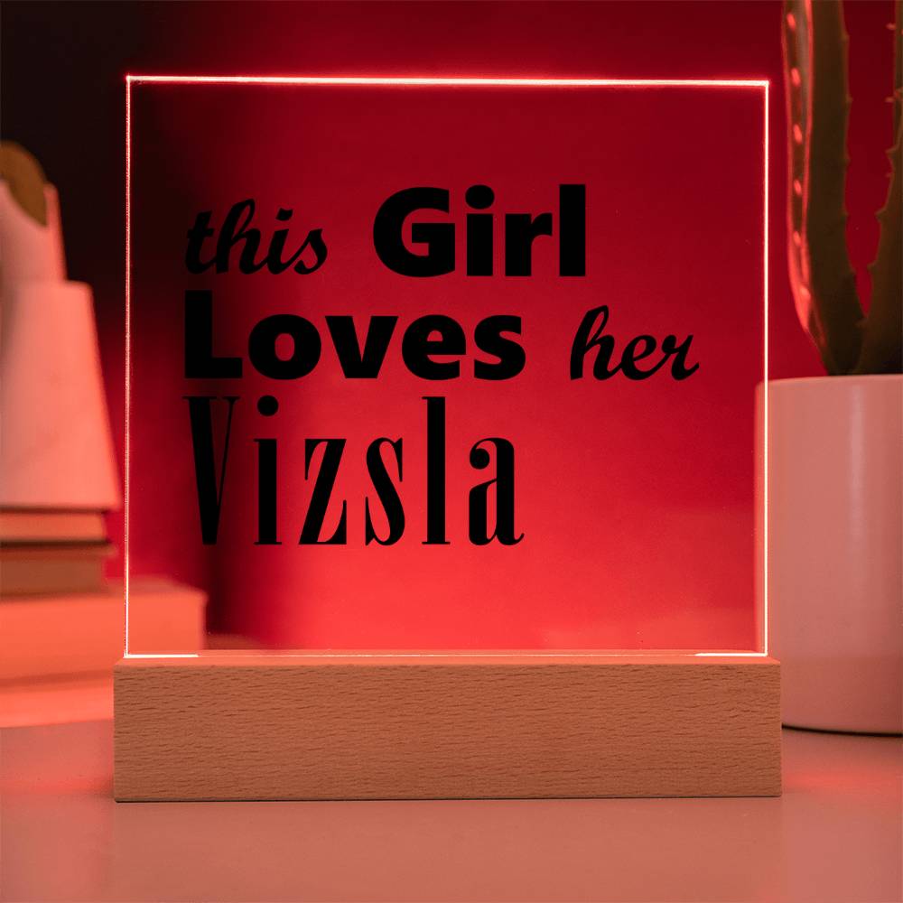 Vizsla - Square Acrylic Plaque With LED Base