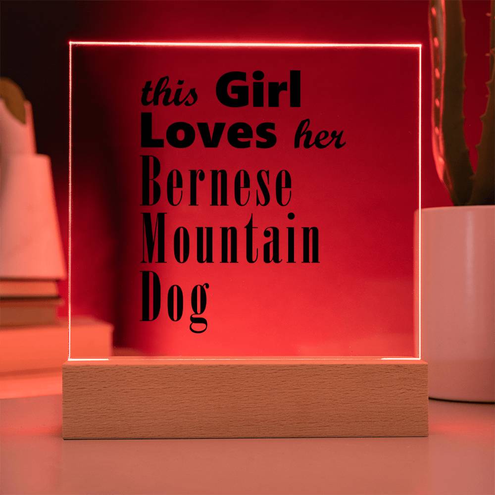 Bernese Mountain Dog - Square Acrylic Plaque With LED Base