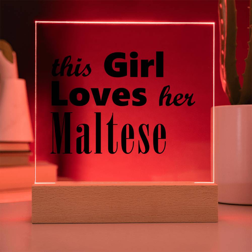 Maltese - Square Acrylic Plaque With LED Base