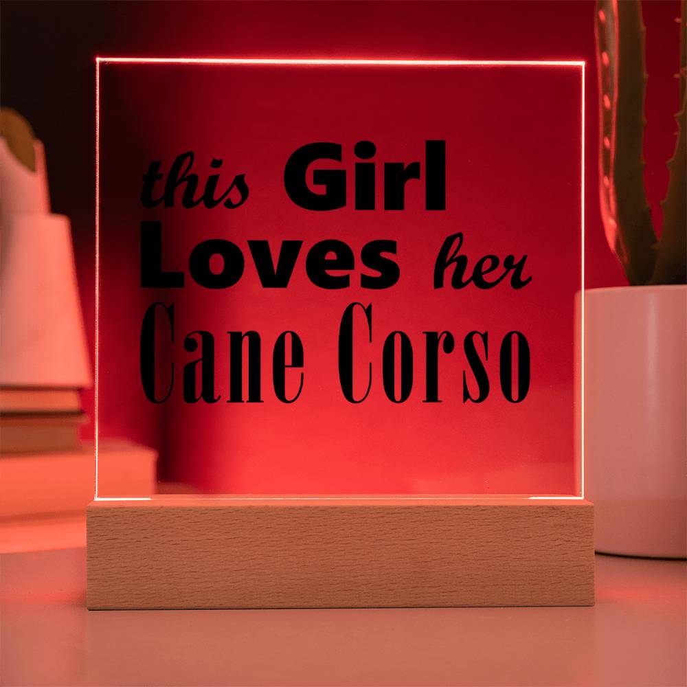 Cane Corso - Square Acrylic Plaque With LED Base