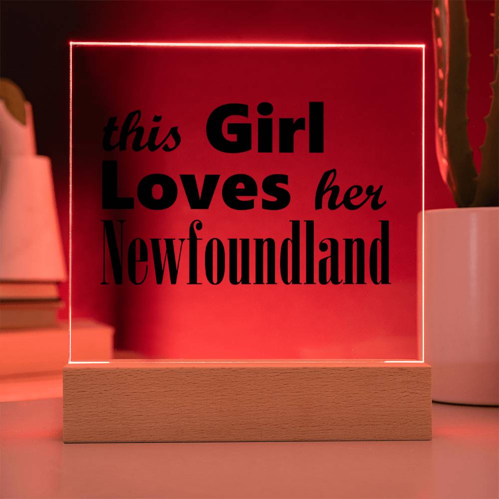 Newfoundland - Square Acrylic Plaque With LED Base
