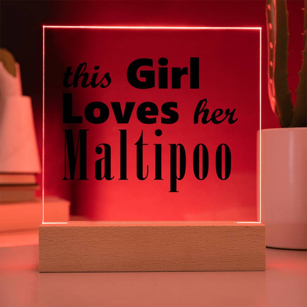 Maltipoo - Square Acrylic Plaque With LED Base