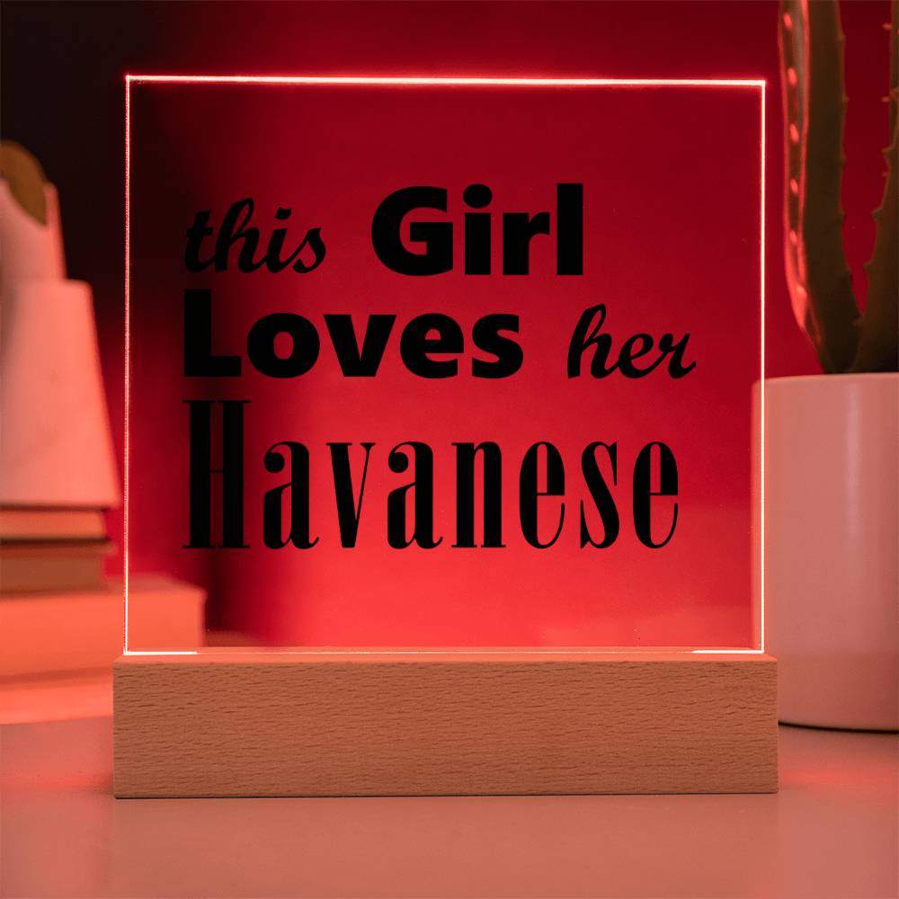 Havanese - Square Acrylic Plaque With LED Base