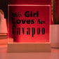 Cavapoo - Square Acrylic Plaque With LED Base