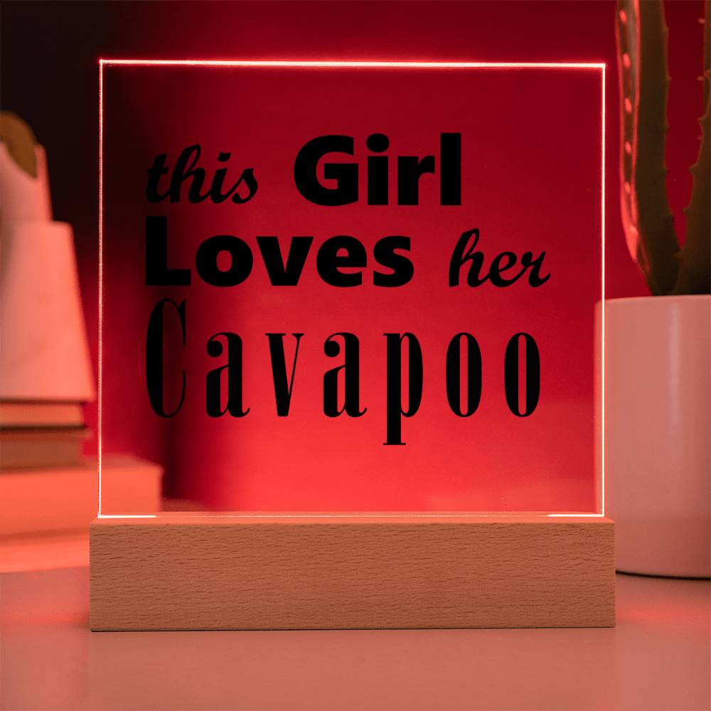 Cavapoo - Square Acrylic Plaque With LED Base