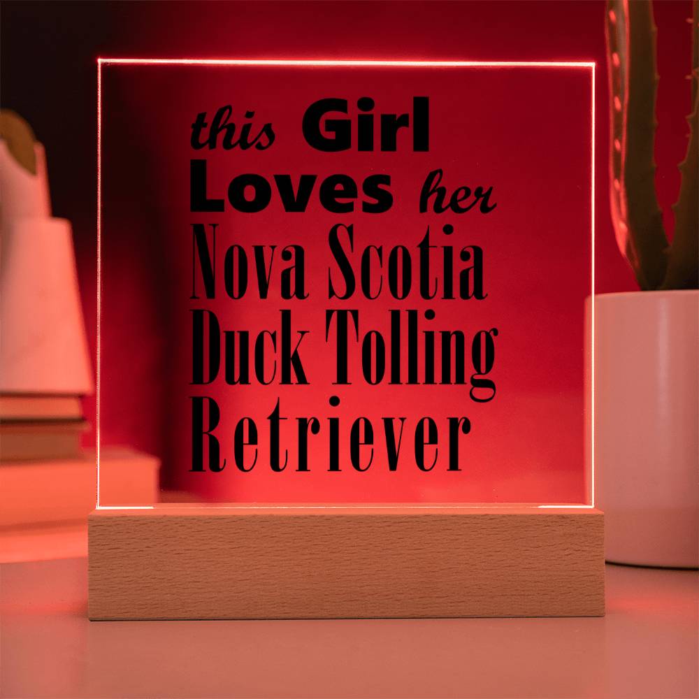 Nova Scotia Duck Tolling Retriever - Square Acrylic Plaque With LED Base
