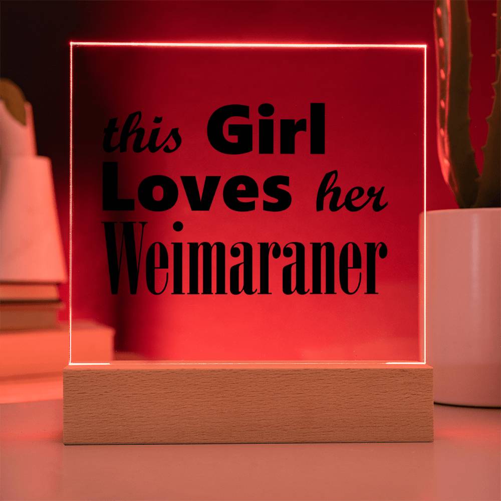 Weimaraner - Square Acrylic Plaque With LED Base