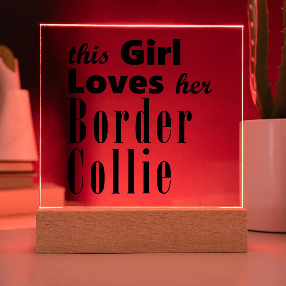 Border Collie - Square Acrylic Plaque With LED Base