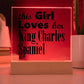 King Charles Spaniel - Square Acrylic Plaque With LED Base