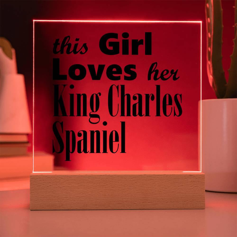 King Charles Spaniel - Square Acrylic Plaque With LED Base