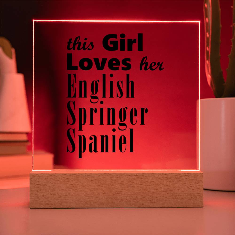 English Springer Spaniel - Square Acrylic Plaque With LED Base