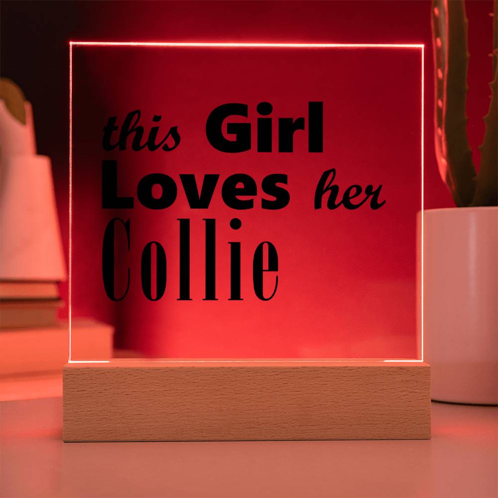 Collie - Square Acrylic Plaque With LED Base