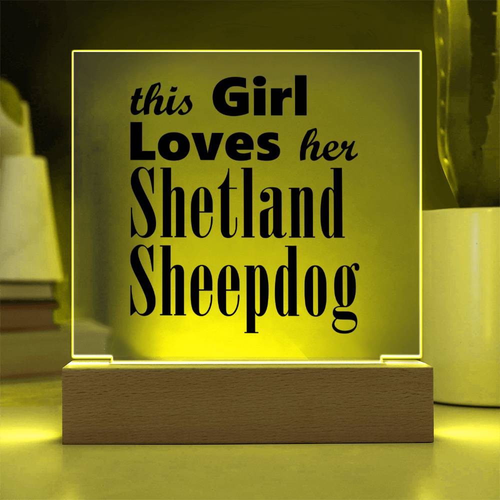 Shetland Sheepdog - Square Acrylic Plaque With LED Base