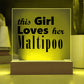 Maltipoo - Square Acrylic Plaque With LED Base
