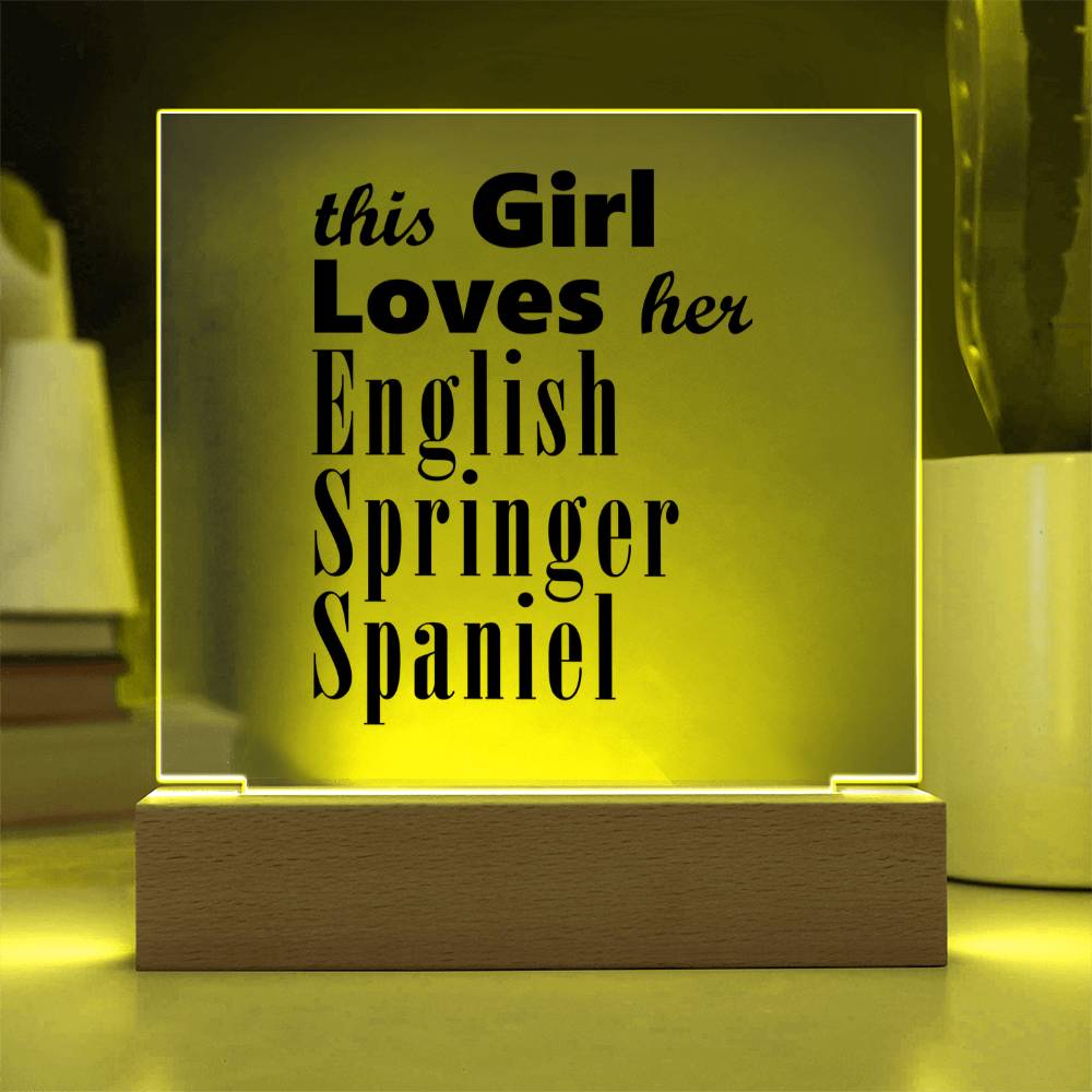 English Springer Spaniel - Square Acrylic Plaque With LED Base