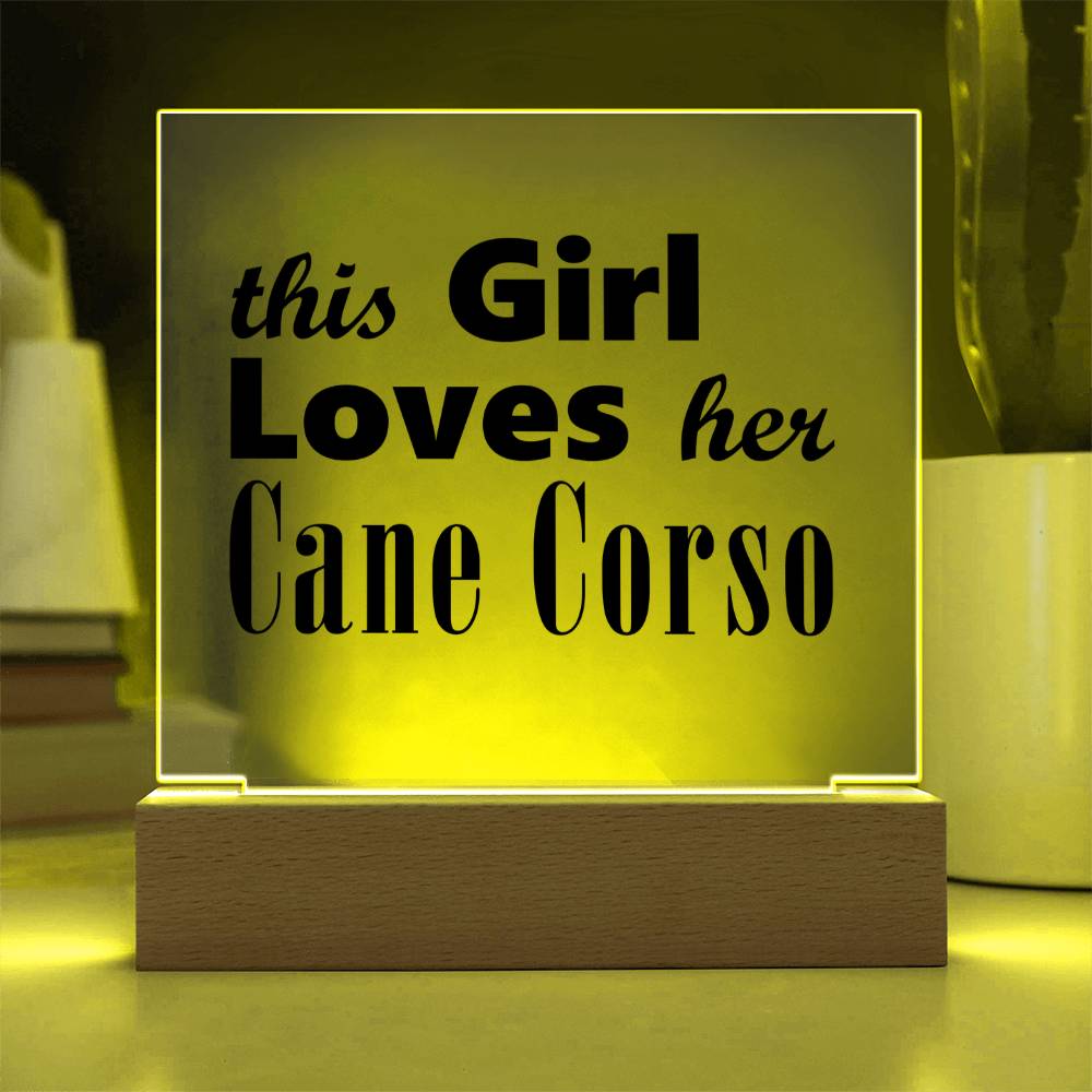 Cane Corso - Square Acrylic Plaque With LED Base