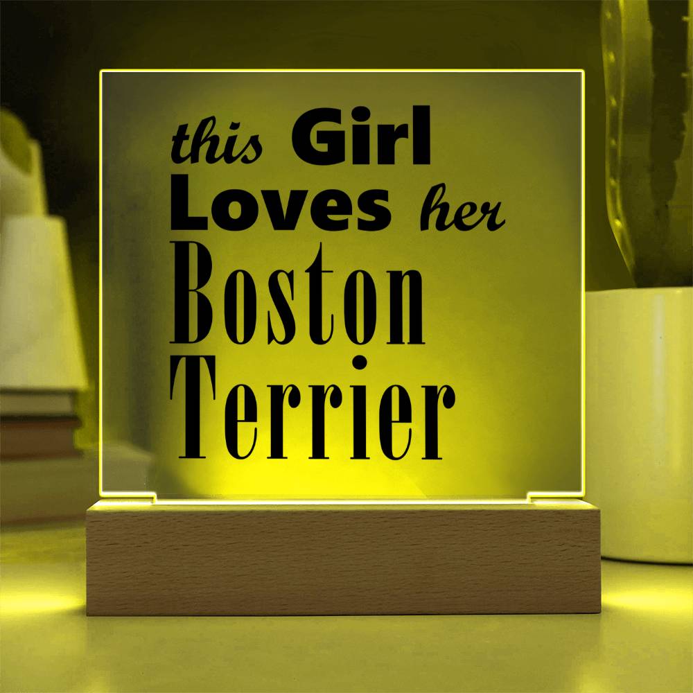 Boston Terrier - Square Acrylic Plaque With LED Base