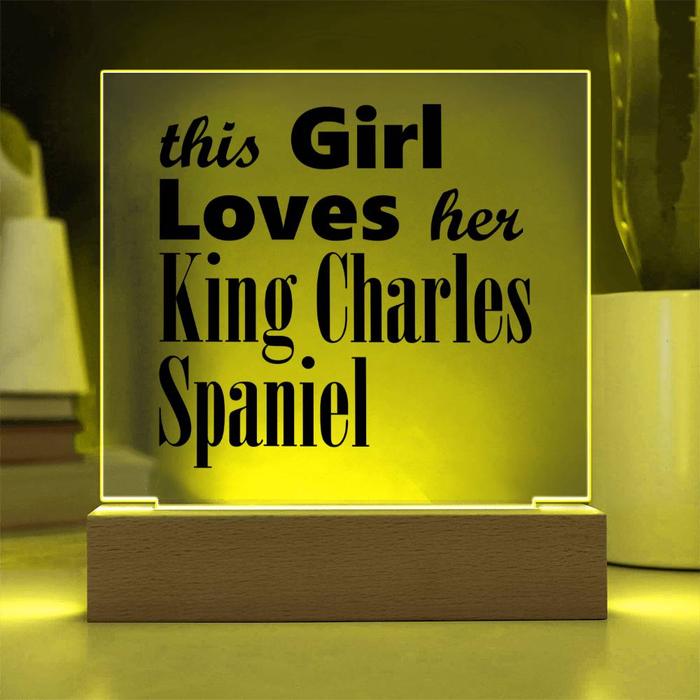 King Charles Spaniel - Square Acrylic Plaque With LED Base