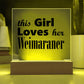 Weimaraner - Square Acrylic Plaque With LED Base