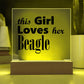 Beagle - Square Acrylic Plaque With LED Base