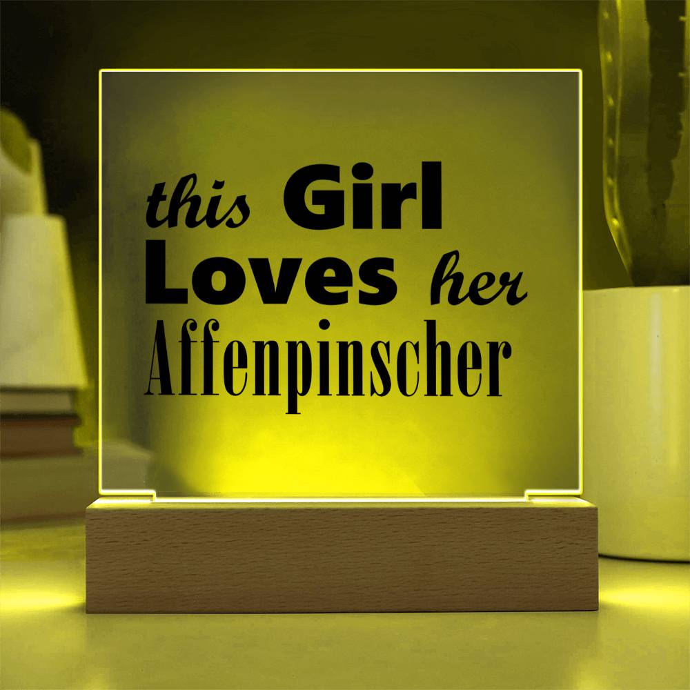 Affenpinscher - Square Acrylic Plaque With LED Base