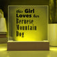 Bernese Mountain Dog - Square Acrylic Plaque With LED Base