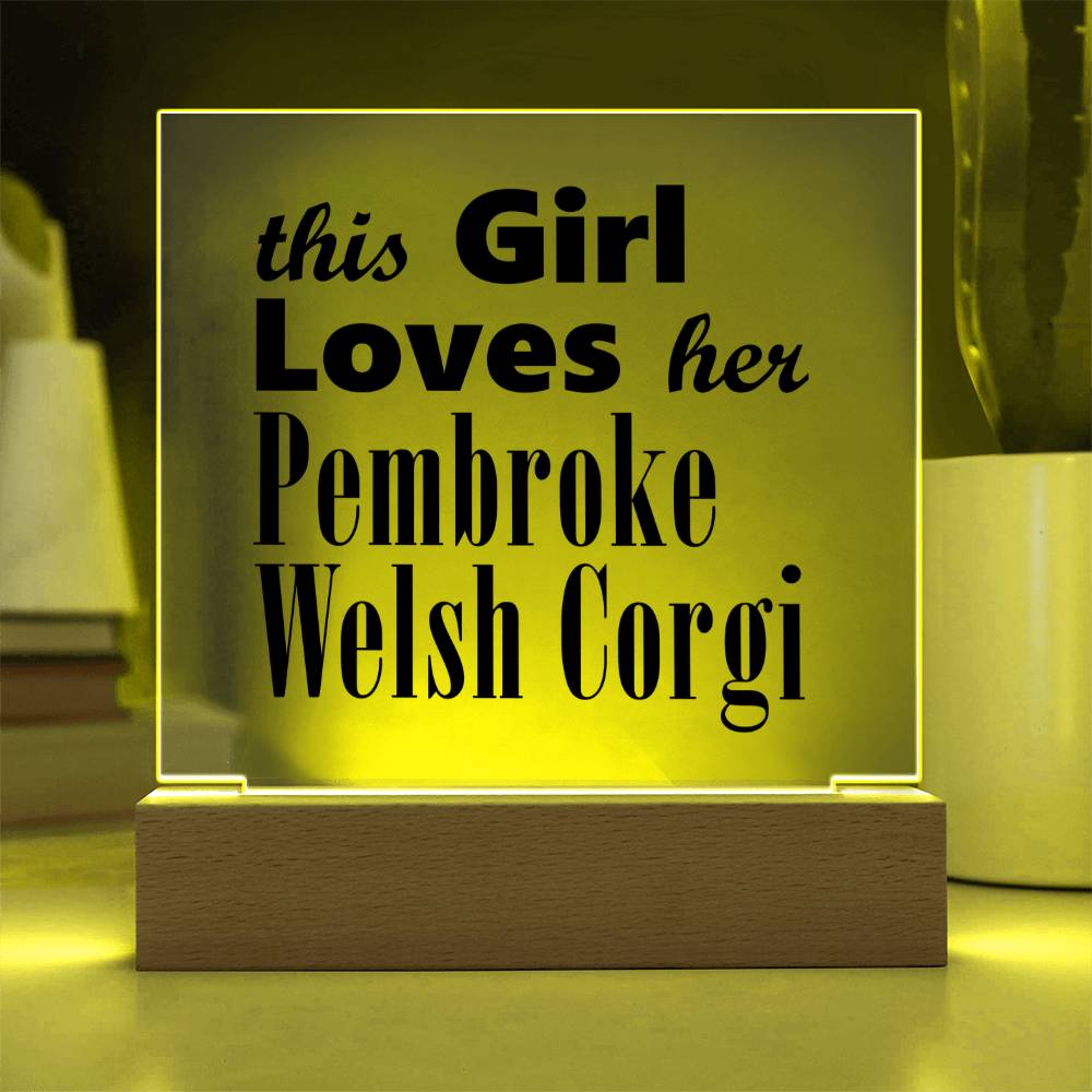 Pembroke Welsh Corgi - Square Acrylic Plaque With LED Base