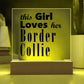 Border Collie - Square Acrylic Plaque With LED Base