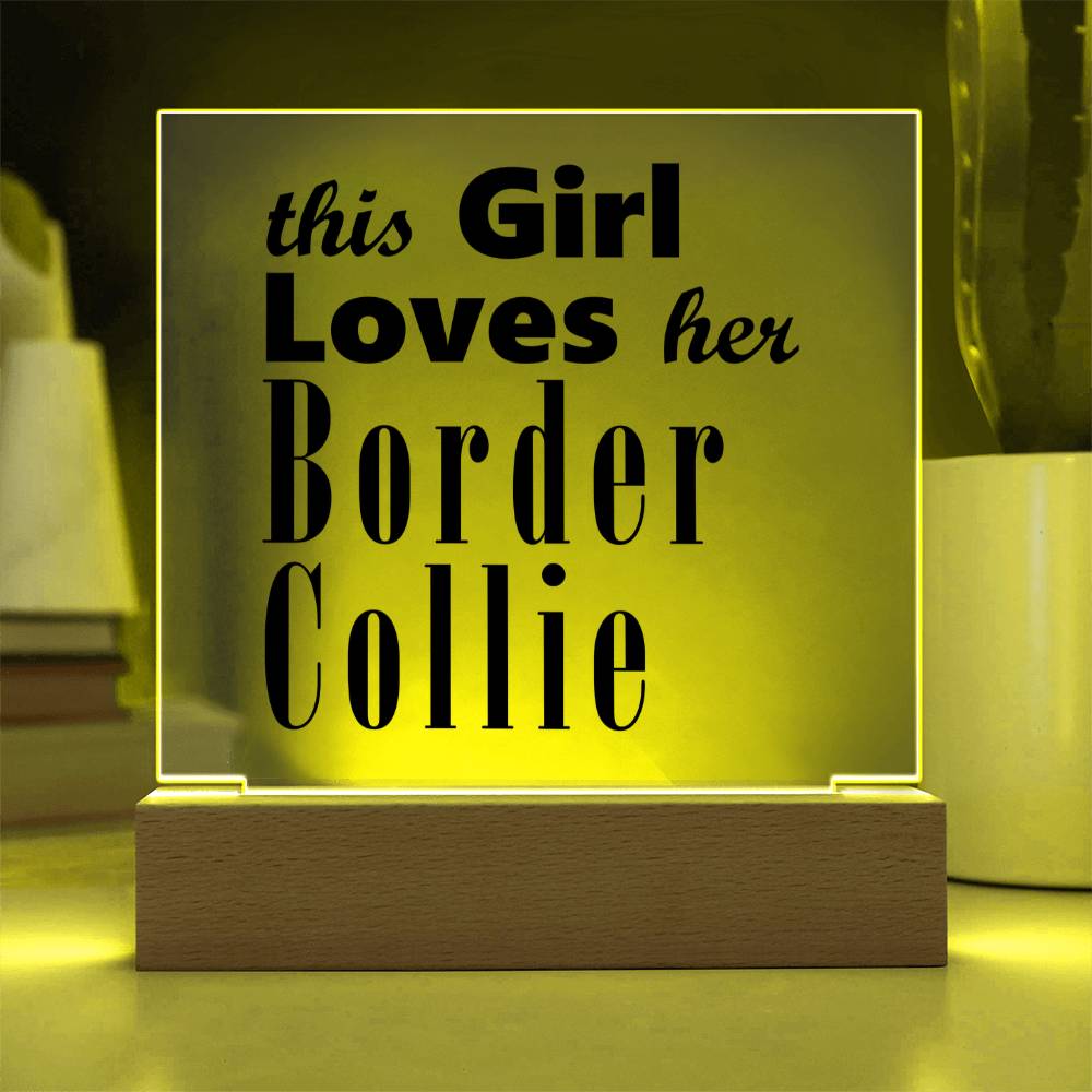 Border Collie - Square Acrylic Plaque With LED Base