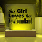 Newfoundland - Square Acrylic Plaque With LED Base