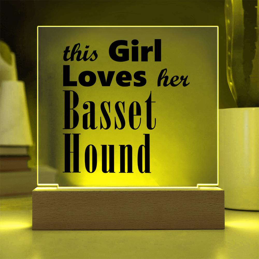 Basset Hound - Square Acrylic Plaque With LED Base