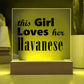 Havanese - Square Acrylic Plaque With LED Base