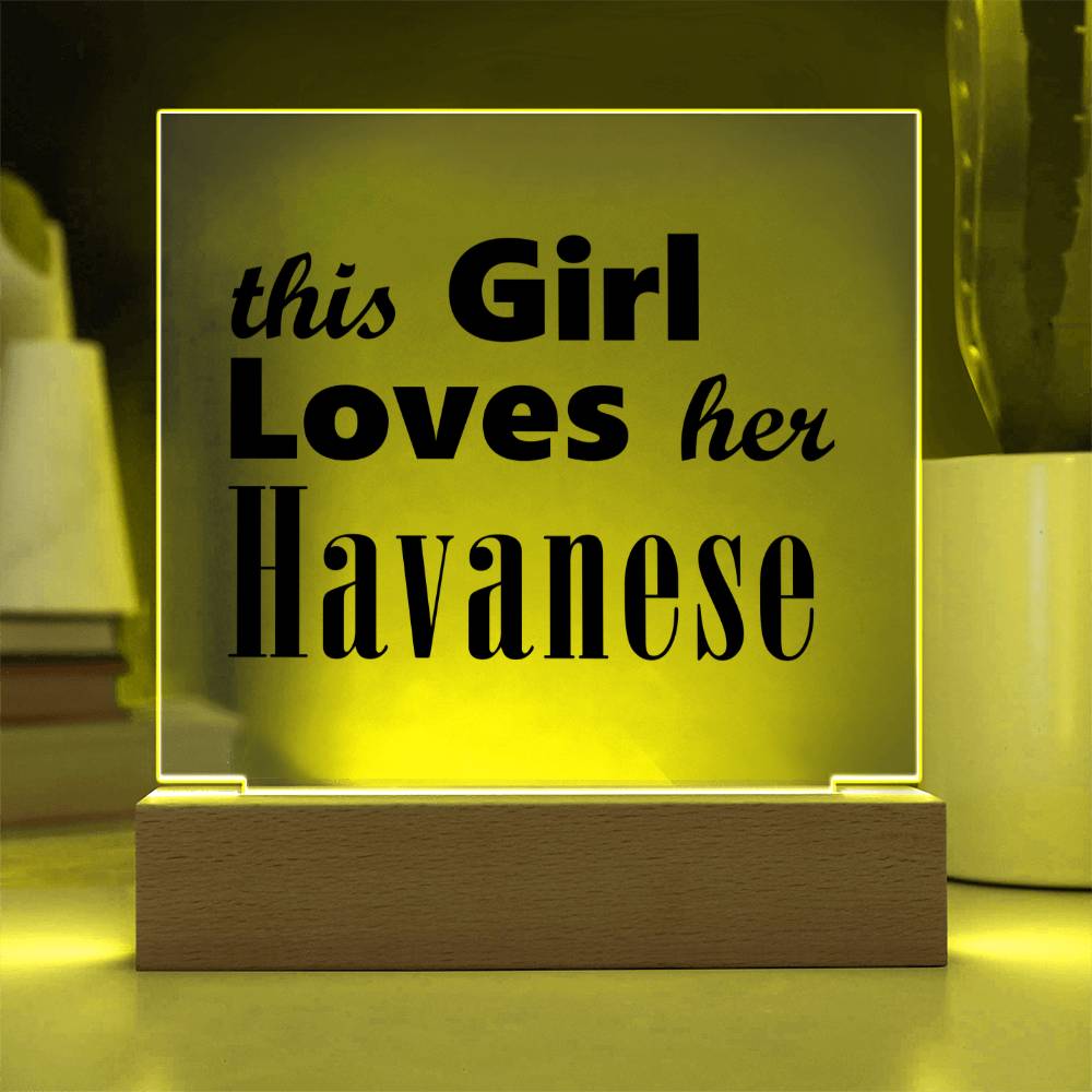 Havanese - Square Acrylic Plaque With LED Base