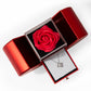 Love Knot Necklace With Red Heart Rose Gift Box