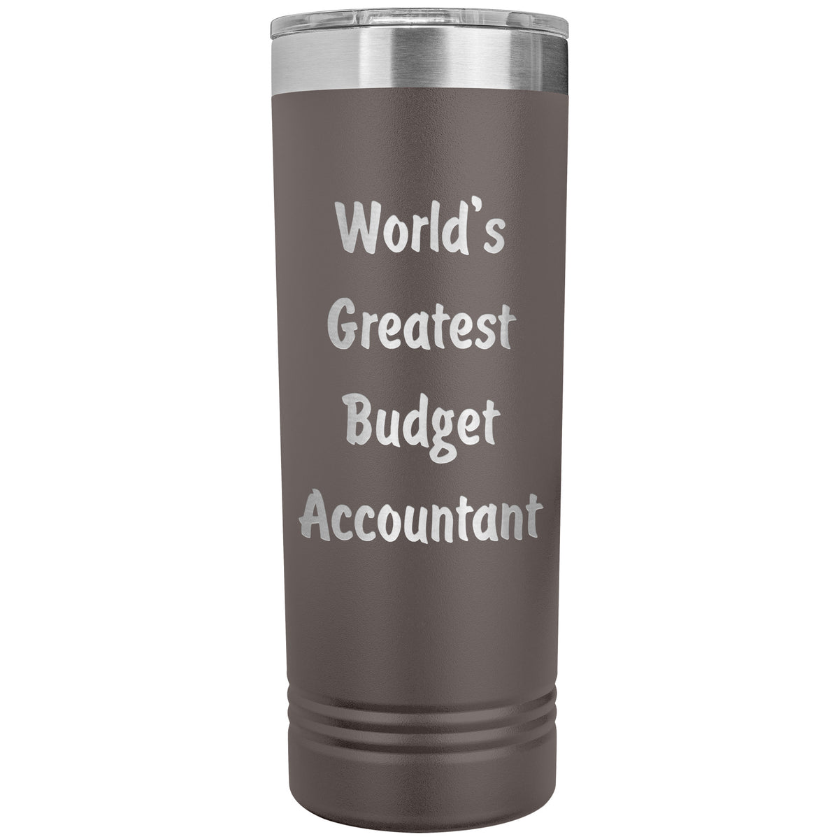 World's Greatest Budget Accountant - 22oz Insulated Skinny Tumbler