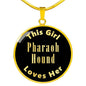 Pharaoh Hound v2 - 18k Gold Finished Luxury Necklace