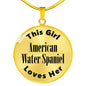 American Water Spaniel - 18k Gold Finished Luxury Necklace