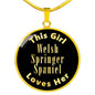 Welsh Springer Spaniel v2 - 18k Gold Finished Luxury Necklace