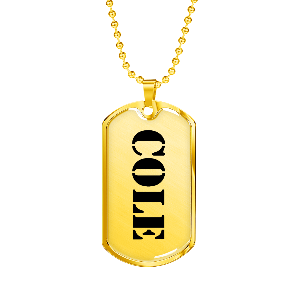 Cole - 18k Gold Finished Luxury Dog Tag Necklace