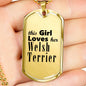 Welsh Terrier - 18k Gold Finished Luxury Dog Tag Necklace