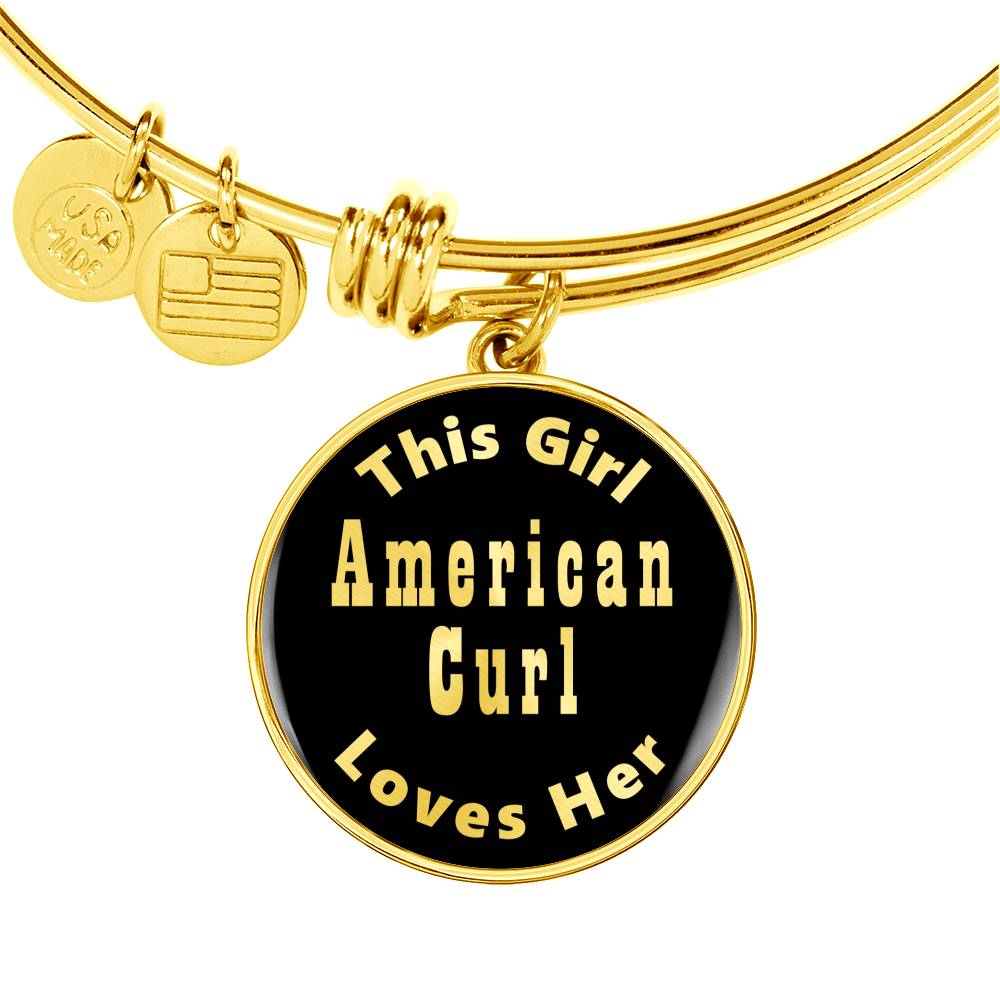 American Curl v2 - 18k Gold Finished Bangle Bracelet
