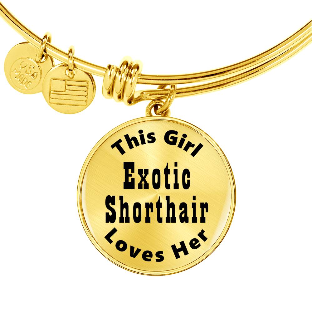 Exotic Shorthair v2 - 18k Gold Finished Bangle Bracelet