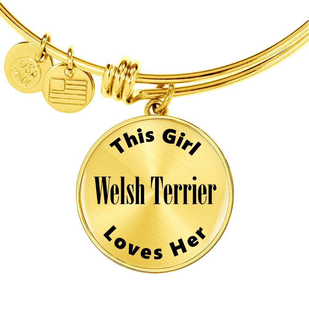 Welsh Terrier - 18k Gold Finished Bangle Bracelet