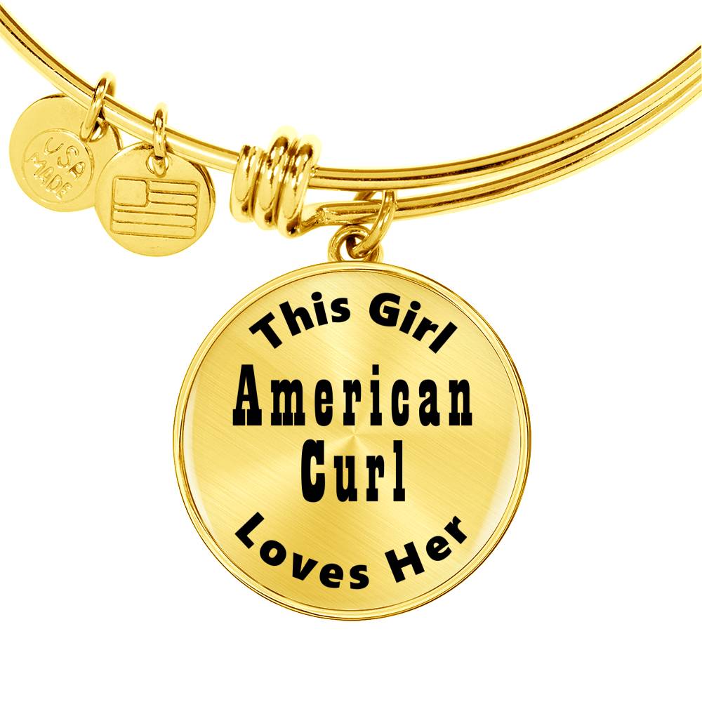 American Curl - 18k Gold Finished Bangle Bracelet