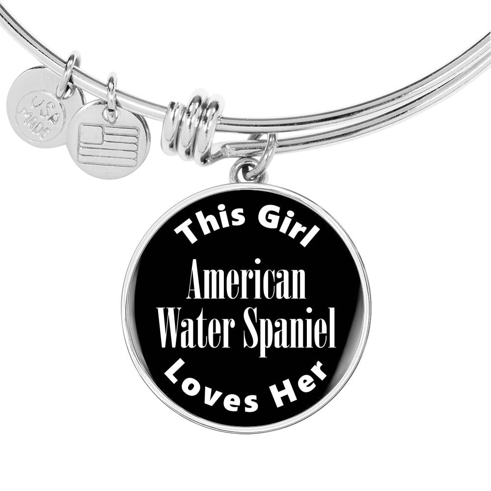 American Water Spaniel v2 - Bangle Bracelet